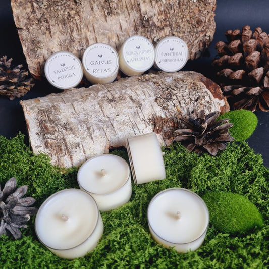 Žvakučių komplektas „Žiemos magija“